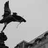 At Piccadilly Circus -Grays in London 8-