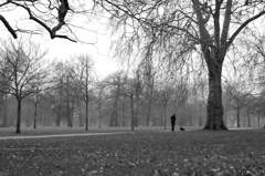 At Hyde Park -Grays in London 1-