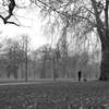 At Hyde Park -Grays in London 1-