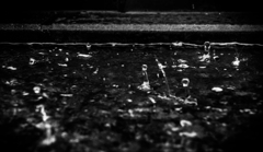 Rain.