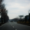 冬