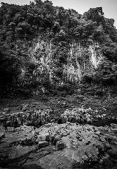 高千穂峡　その５