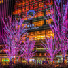春の博多駅