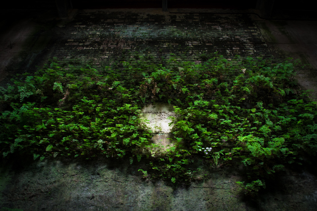 Ruin's Leaf