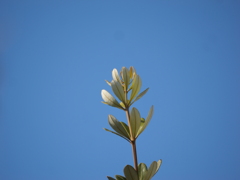 空
