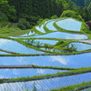 棚田の青空