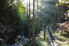 滝見道