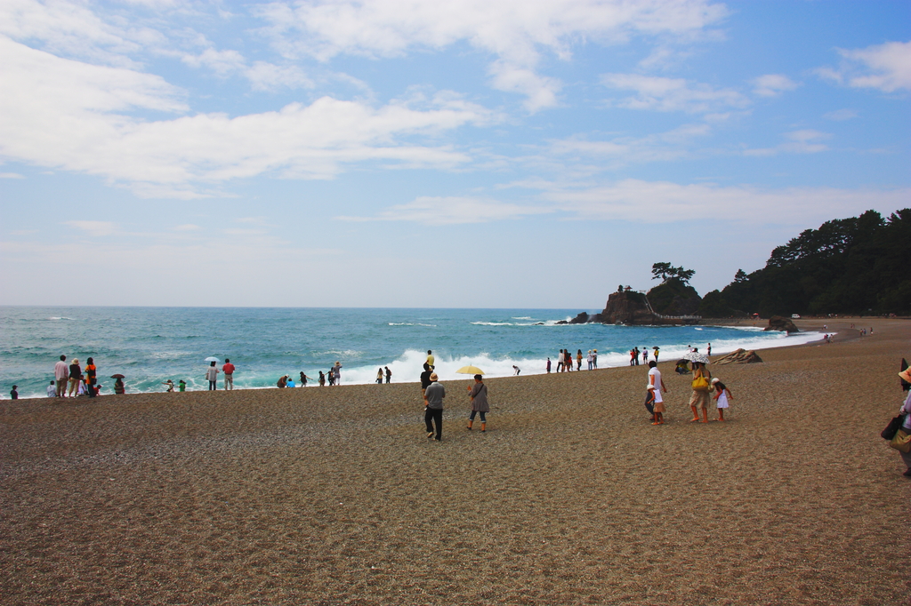 桂浜ぜよ