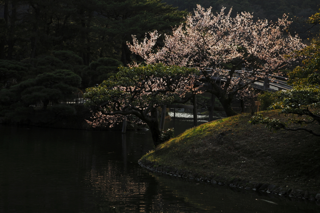 庭園の春