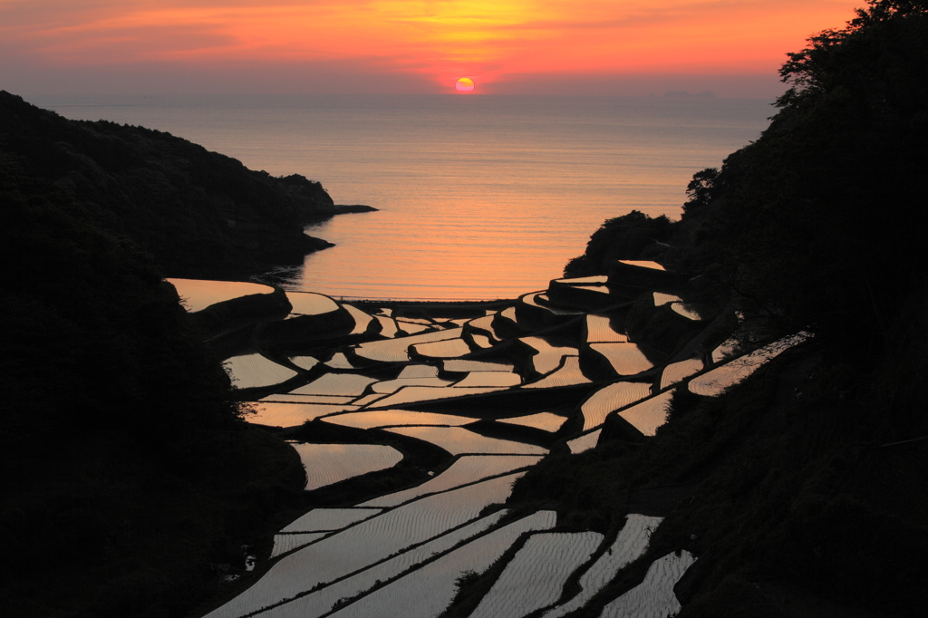 浜野浦の棚田