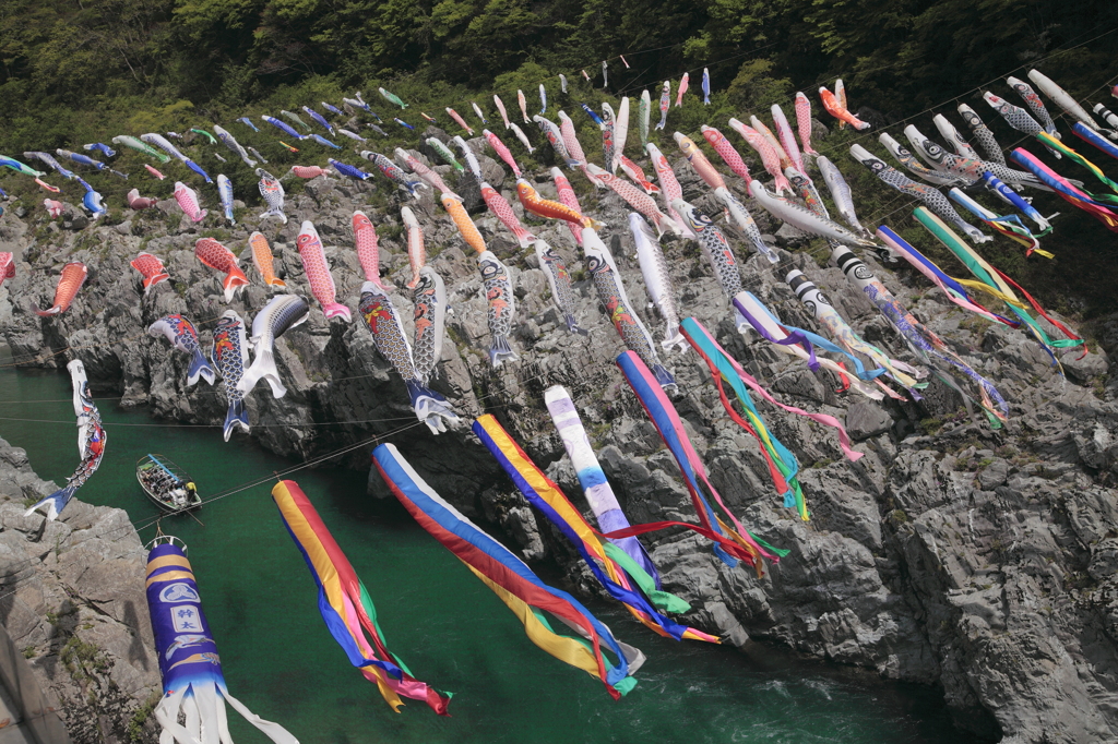 大歩危峡に踊る