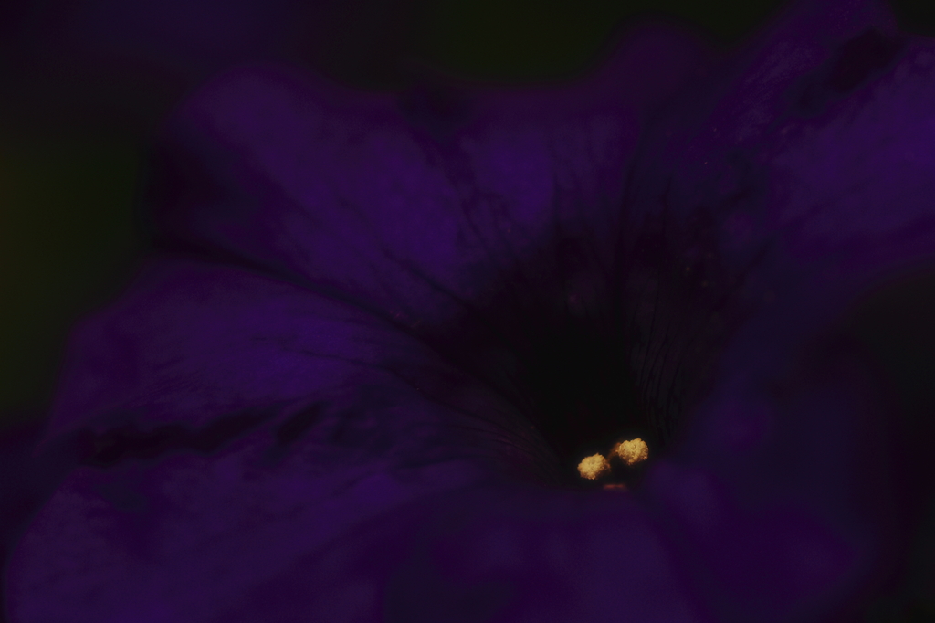DARK