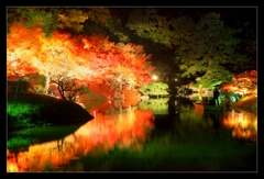 秋夜の栗林公園