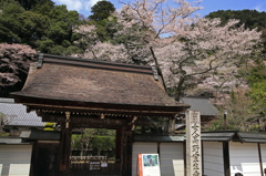 室生寺