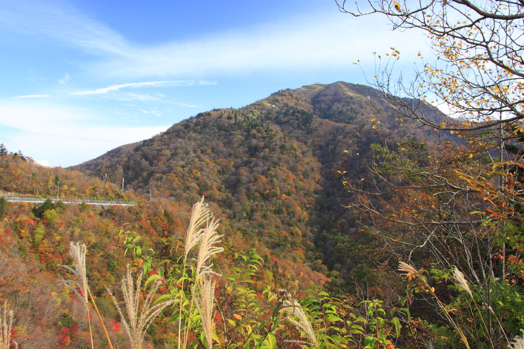 晩秋の山