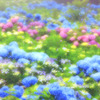 紫陽花の園