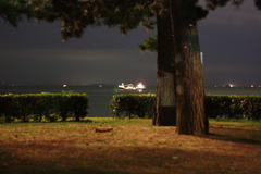夜の海岸