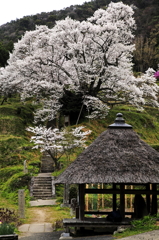 仏隆寺