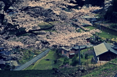 西光寺4