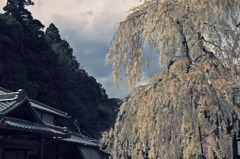 大野寺2