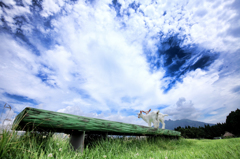 子ヤギたちの夏