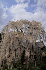 大野寺