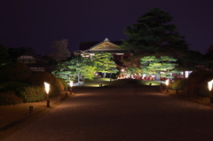 栗林公園ライトアップ