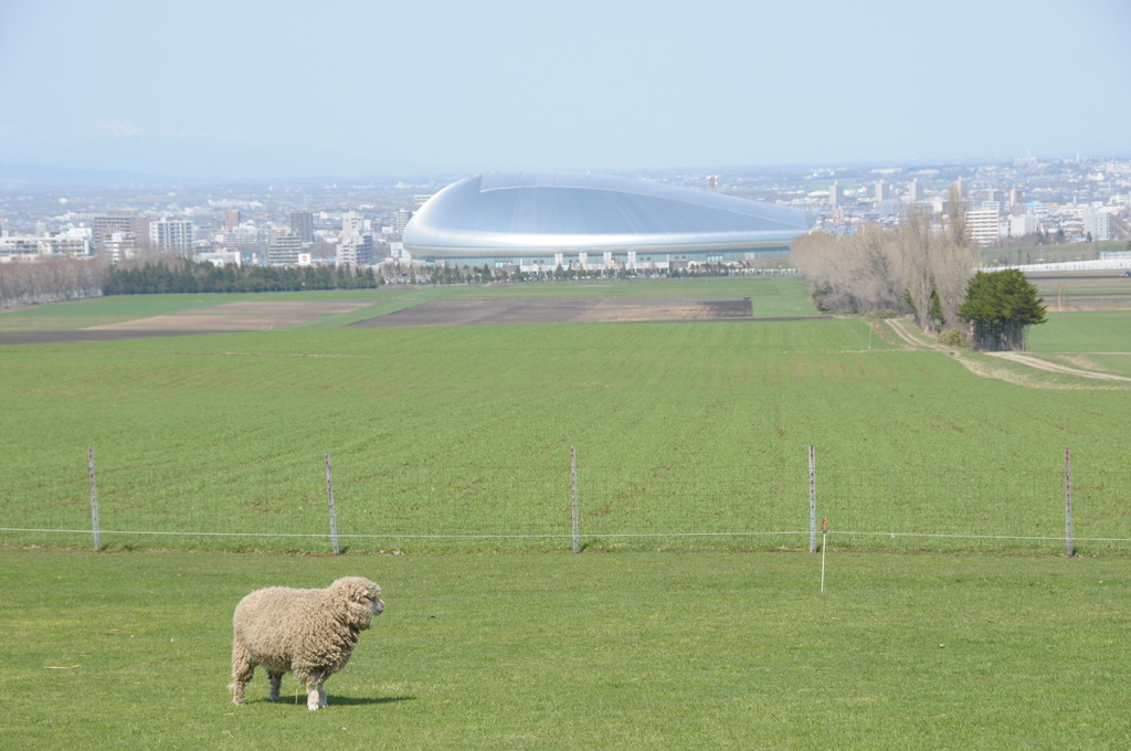 2009-04-29_28北海道