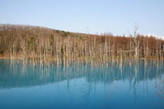 北海道