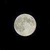 2011・十五夜の月
