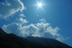 頭上、夏真っ盛り！