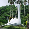 イッシー現る。