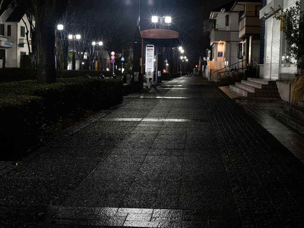 夜の歩道