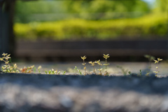 小さい世界
