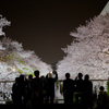 桜のライトアップ2021