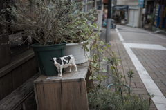 モ〜いない