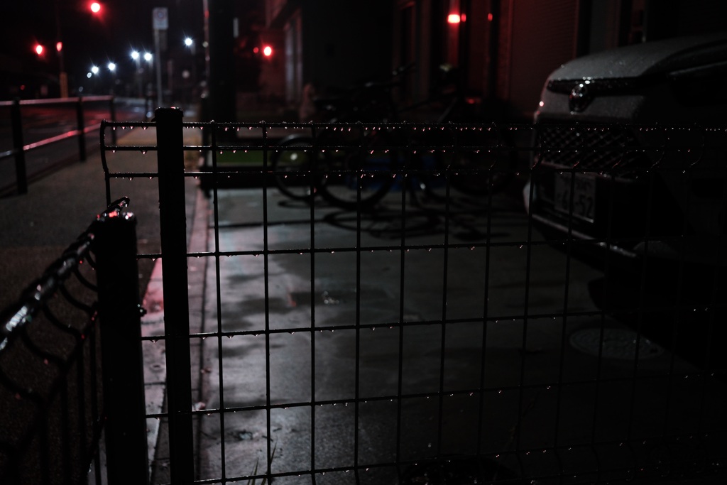 雨上がりのフェンス
