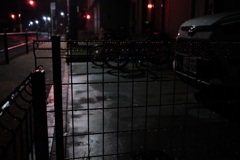 雨上がりのフェンス