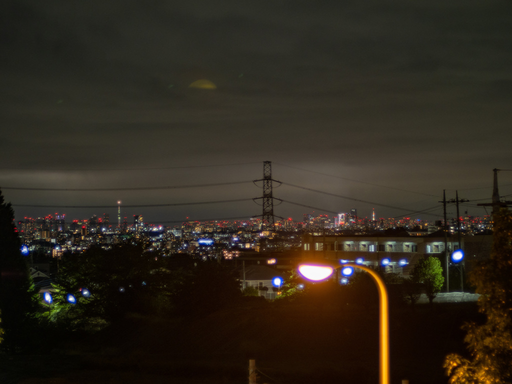 東京タワーとスカイツリー