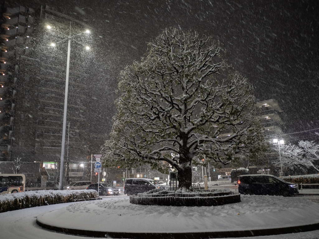 雪の日の駅のロータリー