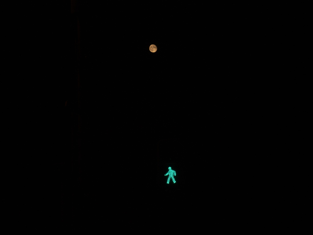 月夜の散歩