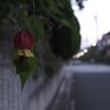 灯りのつかないランプ