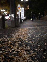 落ち葉の舞い散る停車場