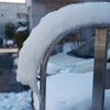 落ちない雪