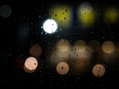 車窓の雨
