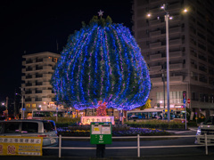 駅前ツリー