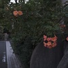 秋の気のせい