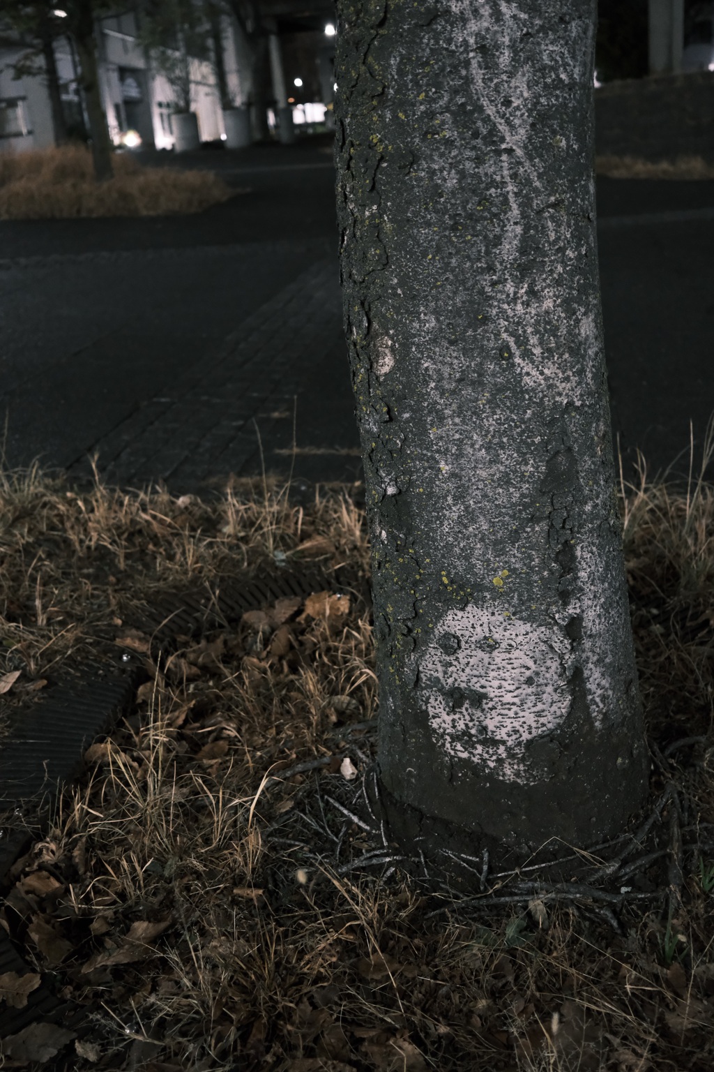 青沼静馬が宿る木