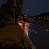 雨の赤信号