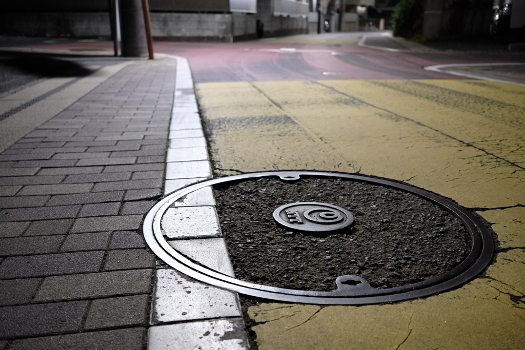 カメレオンマンホール